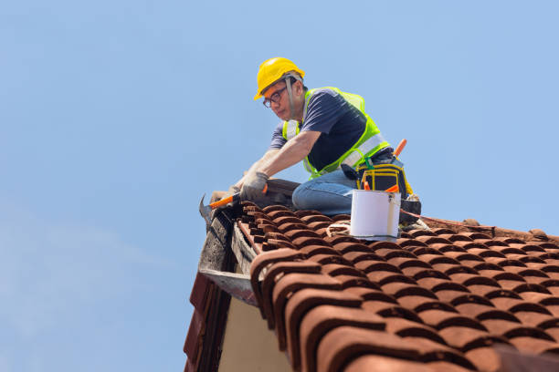 Best Asphalt Shingle Roofing  in Harvey, IL